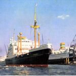 Club-Like Travel: Noordam & Westerdam