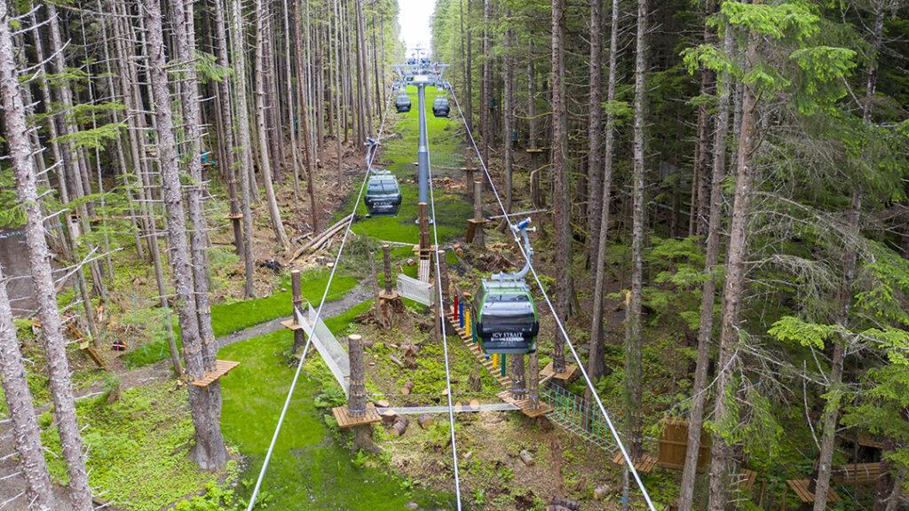 The Transporter Gondola carries passengers through the forest canopy at Icy Strait Point in Hoonah, Alaska. Courtesy of Huna Totem Corporation.