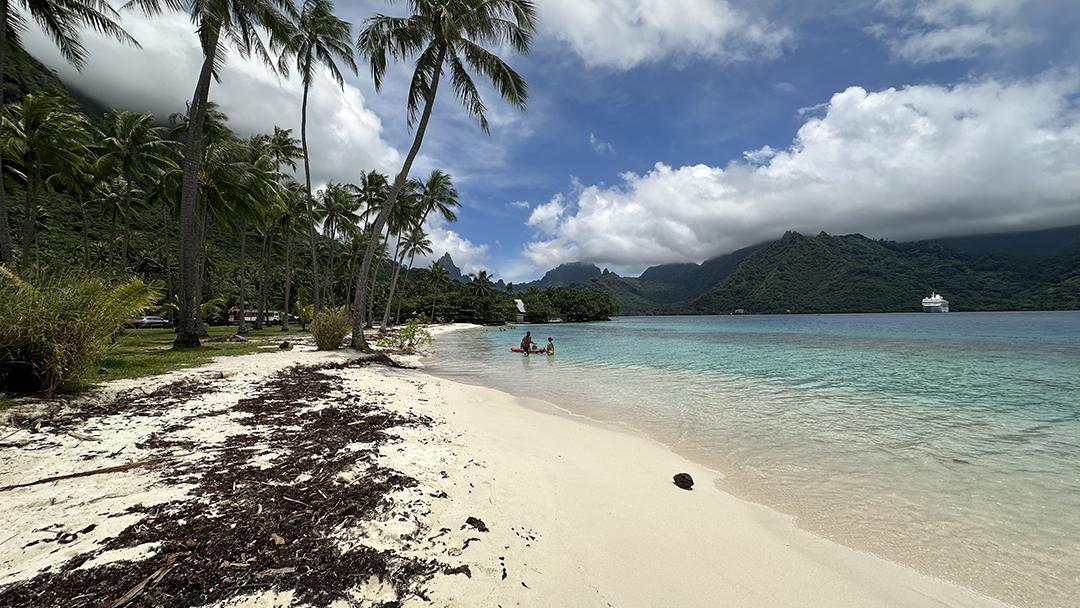 A palm-lined beach on Moorea looks out toward Star Breeze and the island’s lush mountain backdrop. Photo: Gerry Barker
